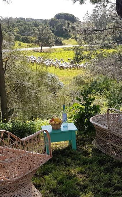 Koala Valdareina, Piscine Chauffee, Benagil-Carvoeiro Apartment Carvoeiro  Bagian luar foto